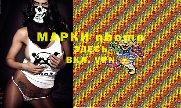 дживик Майский
