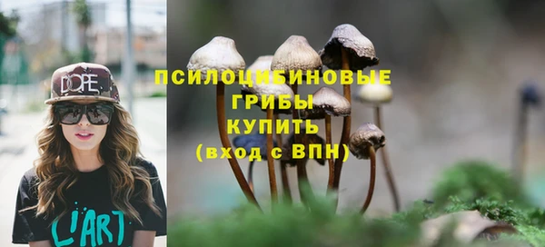 меф Медвежьегорск