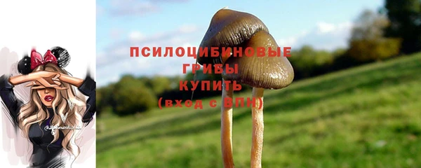 дурь Медногорск