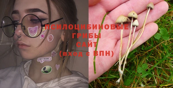 меф Медвежьегорск