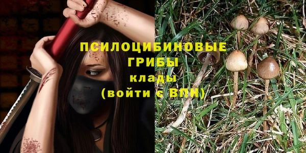 кокс Магас