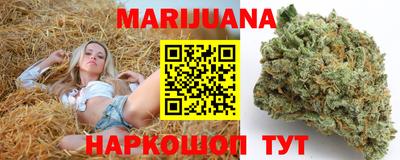 тгк Гатчина